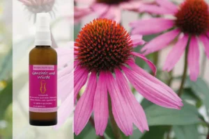 Auraspray roter Sonnenhut