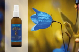 Auraspray Glockenblume